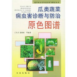 双冠4折起 新版蔬菜病虫害诊断原色图谱 农山渔村文化编 李国..